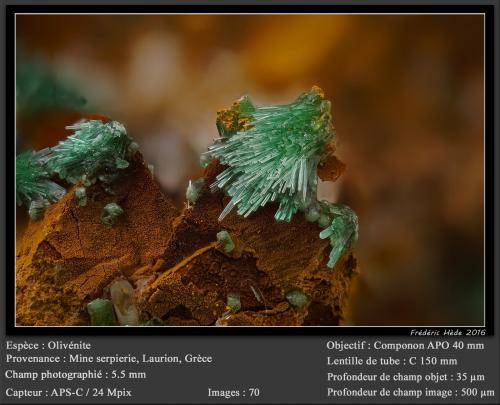 Olivenite<br />Serpieri Mine, Kamariza Mines, Lavrion Mining District, Attikí (Attica) Prefecture, Greece<br />fov 5.5 mm<br /> (Author: ploum)