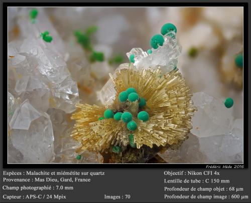 Mimetite and Malachite on Quartz<br />Mas Dieu, Mercoirol, Alès, Gard, Occitanie, France<br />fov 7 mm<br /> (Author: ploum)