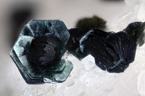 Clinocloro<br />Guainos Bajos outcrops (Highway Adra-Motril), Guainos Bajos, Adra, Comarca Poniente Almeriense, Almería, Andalusia, Spain<br />Campo de visión 2,7 mm<br /> (Autor: Juan Miguel)