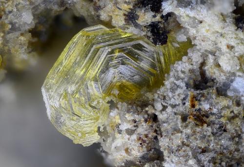 Wulfenita<br />Santa Lucía Mine, Rambla Seca, La Peza, Comarca Guadix, Granada, Andalusia, Spain<br />Campo de visión 2,5 mm<br /> (Autor: Juan Miguel)