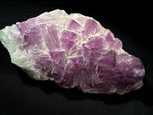 Fluorite<br />Melchor Múzquiz, Municipio Melchor Múzquiz, Coahuila (Coahuila de Zaragoza), Mexico<br />215 mm x 110 mm x 55 mm<br /> (Author: Robert Seitz)