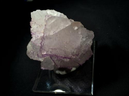 Fluorite<br />Tule Mine, Melchor Múzquiz, Municipio Melchor Múzquiz, Coahuila (Coahuila de Zaragoza), Mexico<br />80 mm x 80 mm x 50 mm<br /> (Author: Robert Seitz)