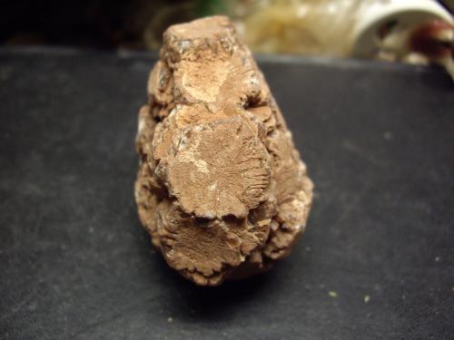 Aragonito<br />Buezo (hacia el Santuario de Santa Casilda), Salinillas de Bureba, Comarca La Bureba, Burgos, Castilla y León, España<br />6 cm diámetro x 4 cm alto<br /> (Autor: Toño P)