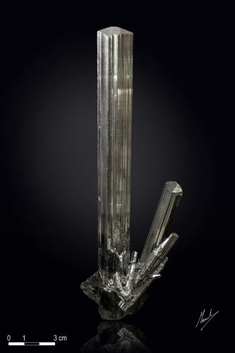 Stibnite<br />Mina Wuning, Qingjiang, Wuning, Prefectura Jiujiang, Provincia Jiangxi, China<br />180 X 51<br /> (Author: Manuel Mesa)