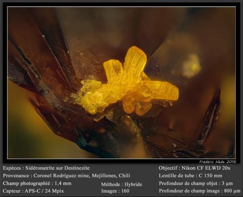 Sideronatrite and Destinezite<br />Coronel Manuel Rodríguez Mine, Mejillones Peninsula, Mejillones, Antofagasta Province, Antofagasta Region, Chile<br />fov 1.4 mm<br /> (Author: ploum)