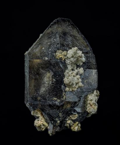 Quartz (variety smoky quartz), Albite<br />Mont Saint-Hilaire, La Vallée-du-Richelieu RCM, Montérégie, Québec, Canada<br />4.2 x 2.7 cm<br /> (Author: am mizunaka)