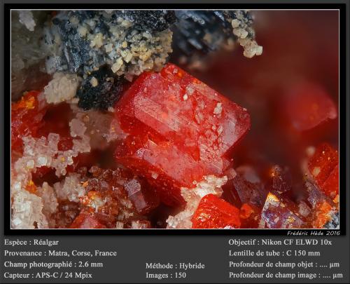 Realgar<br />Matra Mine, Matra, Ghisonaccia, Corte, Haute-Corse, Corsica/Corse, France<br />fov 2.6 mm<br /> (Author: ploum)