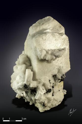 Microcline<br />Alchuri, Shigar District, Gilgit-Baltistan (Northern Areas), Pakistan<br />155 x 90 mm<br /> (Author: Manuel Mesa)