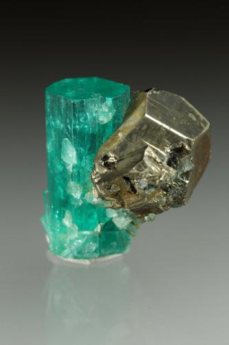 Beryl (variety emerald), Pyrite<br />Chivor mining district, Municipio Chivor, Eastern Emerald Belt, Boyacá Department, Colombia<br />xl=19x7.5mm<br /> (Author: Fiebre Verde)