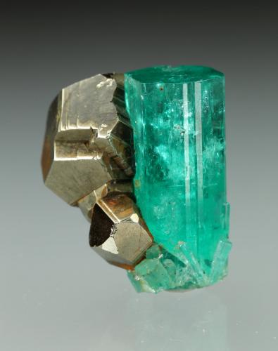 Beryl (variety emerald), Pyrite<br />Chivor mining district, Municipio Chivor, Eastern Emerald Belt, Boyacá Department, Colombia<br />xl=19x7.5mm<br /> (Author: Fiebre Verde)