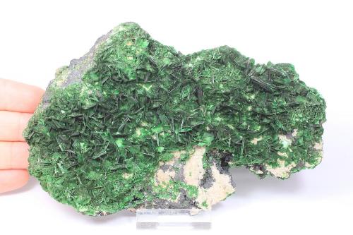 Torbernite, Heterogenite<br />Musonoi Mine, Kolwezi, Kolwezi District, Lualaba, Katanga Copper Crescent, Katanga (Shaba), Democratic Republic of the Congo (Zaire)<br />16 x 11 x 5 cm<br /> (Author: Ivan Blanco (PDM))
