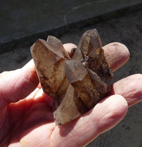 Quartz<br />Ceres, Warmbokkeveld Valley, Ceres, Valle Warmbokkeveld, Witzenberg, Cape Winelands, Western Cape Province, South Africa<br />Fingers for size<br /> (Author: Pierre Joubert)