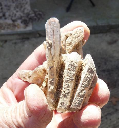 Quartz<br />Ceres, Warmbokkeveld Valley, Ceres, Valle Warmbokkeveld, Witzenberg, Cape Winelands, Provincia Occidental del Cabo, Sudáfrica<br />Fingers for size<br /> (Author: Pierre Joubert)