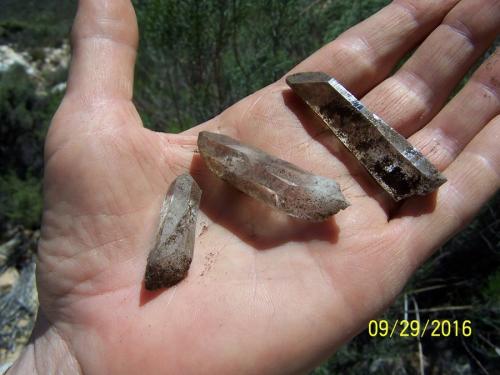 Quartz<br />Ceres, Warmbokkeveld Valley, Ceres, Valle Warmbokkeveld, Witzenberg, Cape Winelands, Provincia Occidental del Cabo, Sudáfrica<br />Fingers for size<br /> (Author: Pierre Joubert)