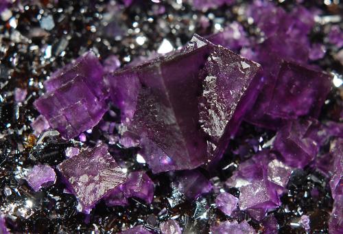 Fluorite<br />Annabel Lee Mine, Harris Creek Sub-District, Hardin County, Illinois, USA<br />6.2 x 8.5 cm<br /> (Author: crosstimber)