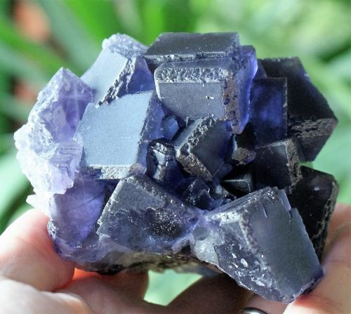 Fluorite<br />La Viesca Mine, <i>La Negrina</i> pocket, La Collada mining area, Huergo, Siero, Comarca Oviedo, Principality of Asturias (Asturias), Spain<br />100mm x 90mm x 80mm<br /> (Author: Philippe Durand)