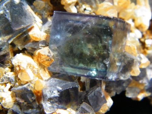 Fluorite<br />Okorusu Mine, Otjiwarongo District, Otjozondjupa Region, Namibia<br />110mmx45mmx50mm<br /> (Author: Heimo Hellwig)