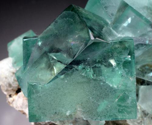 Fluorite<br />Heights Pasture Mine, Westgate, Weardale, North Pennines Orefield, County Durham, England / United Kingdom<br /><br /> (Author: Jesse Fisher)