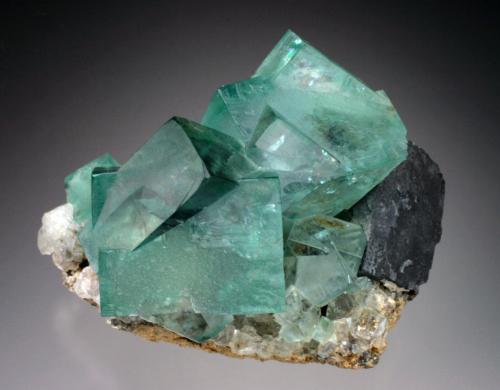Fluorite, Galena<br />Heights Pasture Mine, Westgate, Weardale, North Pennines Orefield, County Durham, England / United Kingdom<br />7x5x4 cm overall size<br /> (Author: Jesse Fisher)