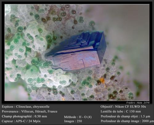 Clinoclase and Chrysocolla<br />Villecun, Olmet-et-Villecun, Lodève Canton, Lodève District, Hérault, Occitanie, France<br />fov 0.5 mm<br /> (Author: ploum)