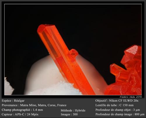 Realgar<br />Mina Matra, Matra, Ghisonaccia, Corte, Haute-Corse, Córcega/Corse, Francia<br />fov 1.4 mm<br /> (Author: ploum)