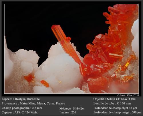 Realgar and Hörnesite<br />Matra Mine, Matra, Ghisonaccia, Corte, Haute-Corse, Corsica/Corse, France<br />fov 2.8 mm<br /> (Author: ploum)