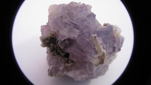 Fluorite<br />County Durham, Inglaterra / Reino Unido<br /><br /> (Author: antoniopedro)