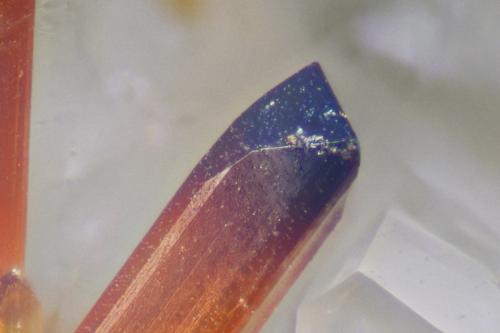 Aeschynite-(Y)<br />Cantera Lohning (Cantera Lohninger), Valle Hüttwinkl, Valle Rauris, Distrito Zell am See, Hohe Tauern, Salzburgo/Salzburg, Austria<br />fov 0.19 mm<br /> (Author: ploum)