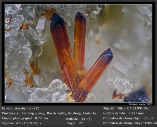 Aeschynite-(Y)<br />Lohning Quarry (Lohninger Quarry), Hüttwinkl Valley, Rauris Valley, Zell am See District, Hohe Tauern, Salzburg, Austria<br />fov 0.70 mm<br /> (Author: ploum)