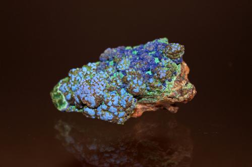 Azurite, Malachite<br />Morenci Mine, Morenci, Copper Mountain District, Shannon Mountains, Greenlee County, Arizona, USA<br />61mm x 40mm<br /> (Author: Don Lum)