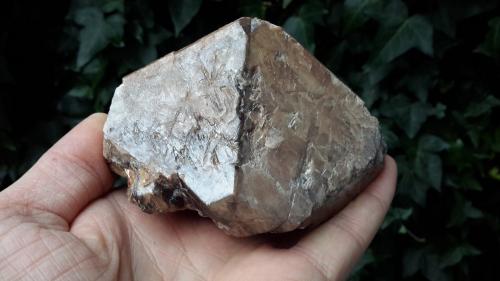 Casiterita<br />Manono pegmatite, Katanga (Shaba), Democratic Republic of the Congo (Zaire)<br />11 x 8 x 7 cm<br /> (Autor: Iván Blanco (PDM))