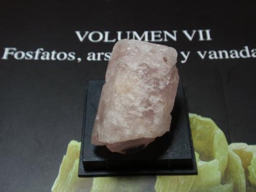 Berilo (variedad morganita)<br />Minas Gerais, Brasil<br />25x30 mm<br /> (Autor: Ignacio)