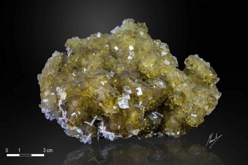 Fluorite and Barite<br />Moscona Mine, "Corte del Agua", El Llano, Solís, Corvera de Asturias, Comarca Avilés, Principality of Asturias (Asturias), Spain<br />147 X 99 mm<br /> (Author: Manuel Mesa)