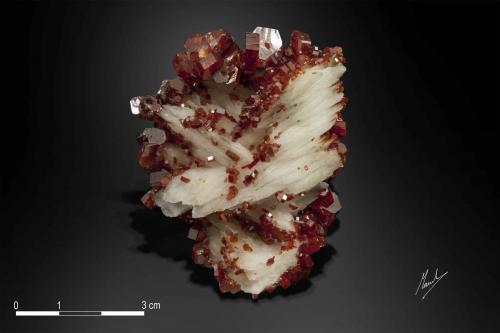 Vanadinite on Barite<br />ACF Mine area, Mibladen mining district, Mibladen, Midelt, Midelt Province, Drâa-Tafilalet Region, Morocco<br />63 X 53 mm<br /> (Author: Manuel Mesa)