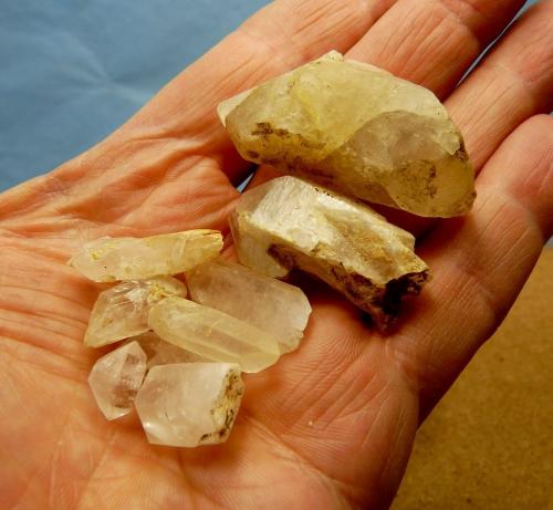 Quartz<br />Ceres, Warmbokkeveld Valley, Ceres, Valle Warmbokkeveld, Witzenberg, Cape Winelands, Western Cape Province, South Africa<br />Hand for size.<br /> (Author: Pierre Joubert)