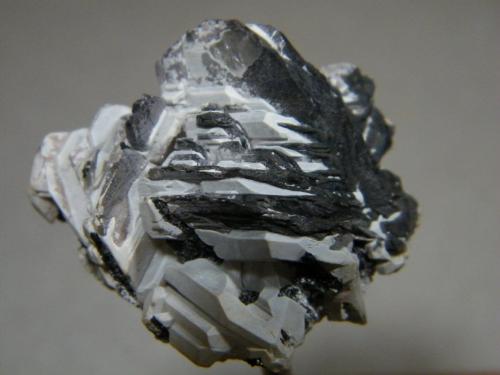 Hydrocerussite<br />Tsumeb Mine, Tsumeb, Otjikoto Region, Namibia<br />35mmx30mm<br /> (Author: Heimo Hellwig)