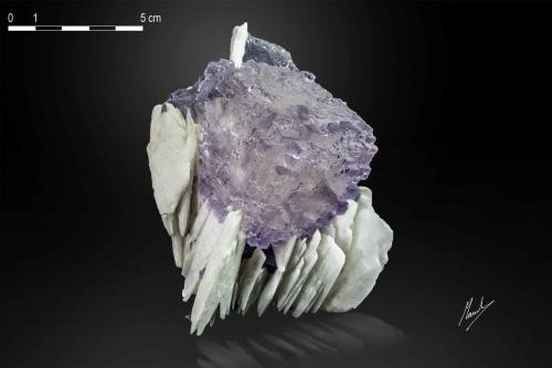 Fluorite on Barite<br />Cuetu L'Aspa, Berbes mining area, Berbes, Ribadesella, Comarca Oriente, Principality of Asturias (Asturias), Spain<br />87 X 55 mm<br /> (Author: Manuel Mesa)