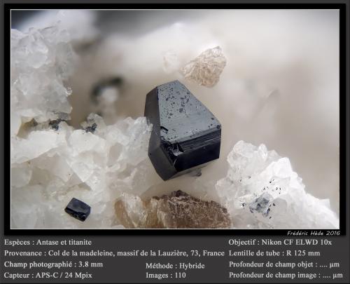 Anatase and Titanite<br />Col de la Madeleine, Macizo La Lauzière, Saint-Jean-de-Maurienne, Saboya, Auvergne-Rhône-Alpes, Francia<br />fov 3.8 mm<br /> (Author: ploum)