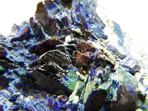 Azurite<br />Tsumeb Mine, Tsumeb, Otjikoto Region, Namibia<br />60mm x 100mm x70mm<br /> (Author: Heimo Hellwig)