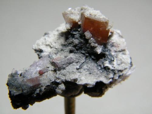 Wulfenite<br />Mina Tsumeb, Tsumeb, Región Otjikoto, Namibia<br />21mm x 31mm<br /> (Author: Heimo Hellwig)