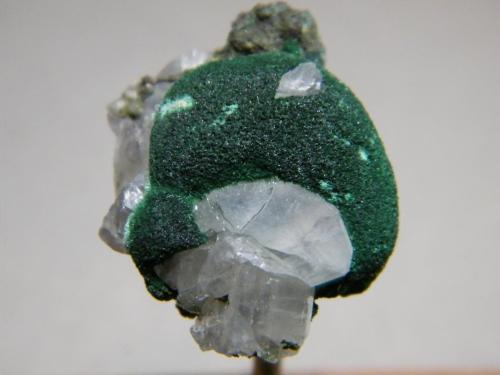 Cerussite and Malachite<br />Tsumeb Mine, Tsumeb, Otjikoto Region, Namibia<br />27mm x 31mm<br /> (Author: Heimo Hellwig)
