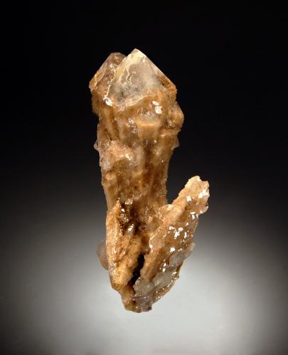 Quartz<br />Pozo Bor, Depósito Dalnegorsk B, Dalnegorsk, Distrito urbano Dalnegorsk, Primorsky Krai, Rusia<br />3.1 x 6.3 cm<br /> (Author: crosstimber)