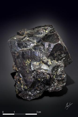 Cuprite, Silver and Miersite<br />Mina Poteryaevskoe, Distrito Rubtsovsky, Altai Krai, Rusia<br />62 x 47 mm<br /> (Author: Manuel Mesa)