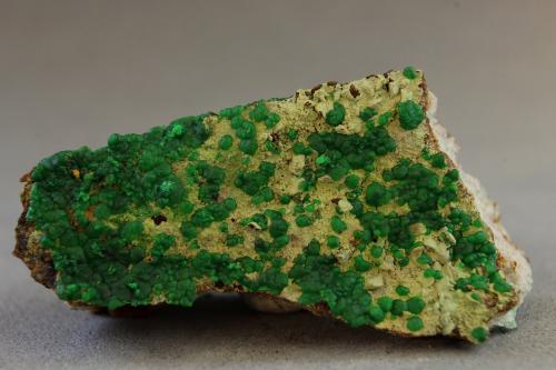 Conicalcita<br />Mina Dolores, Pastrana, Mazarrón / Águilas, Comarca Alto Guadalentín, Región de Murcia (Murcia), España<br />34x17x09 mm<br /> (Autor: Juan Espino)