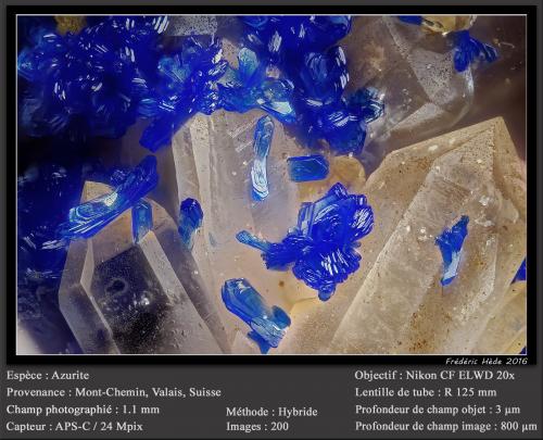 Azurite<br />Mont Chemin, Martigny, Wallis (Valais), Switzerland<br />fov 1.1 mm<br /> (Author: ploum)