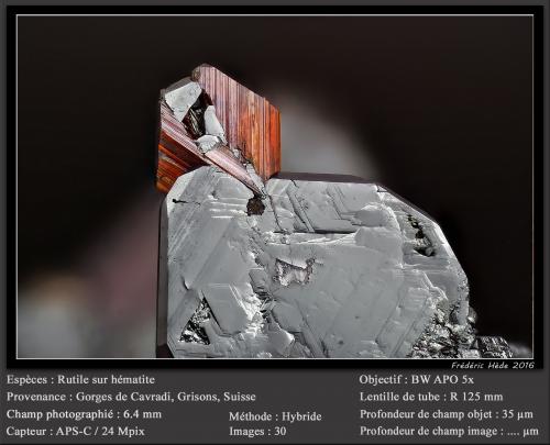 Rutile on Hematite<br />Cavradi, Curnera Valley, Tujetsch (Tavetsch), Vorderrhein Valley, Grischun (Grisons; Graubünden), Switzerland<br />fov 6 mm<br /> (Author: ploum)