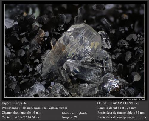 Diopside<br />Felskinn, Glaciar Fee, Saas Fee, Valle Saas, Zermatt - Saas Fee, Wallis (Valais), Suiza<br />fov 6 mm<br /> (Author: ploum)