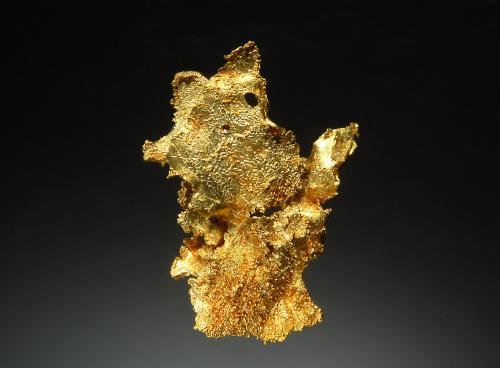 Gold<br />Farncomb Hill, French Gulch, Breckenridge, Breckenridge District, Summit County, Colorado, USA<br />2.1 x 2.9 cm<br /> (Author: crosstimber)