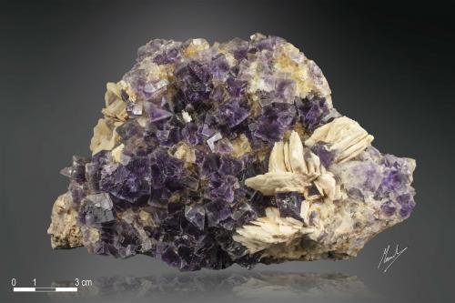 Fluorite and Baryte<br />La Cabaña, Berbes mining area, Valdelmar, Berbes, Ribadesella, Comarca Oriente, Principality of Asturias (Asturias), Spain<br />170 X 114 mm<br /> (Author: Manuel Mesa)