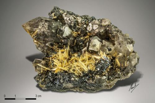 Rutile and Hematite on Quartz<br />Novo Horizonte, Bahia, Northeast Region, Brazil<br />113 x 92 mm<br /> (Author: Manuel Mesa)